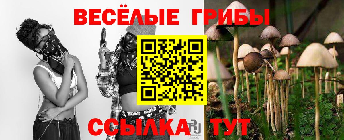Псилоцибиновые грибы прущие грибы Тула